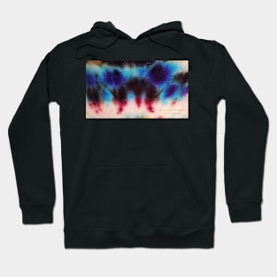 Foxy Visions Hoodie